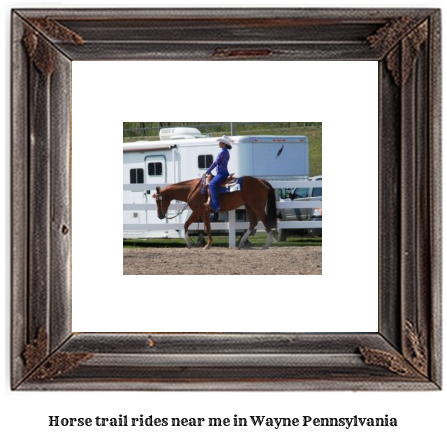 horse trail rides near me in Wayne, Pennsylvania